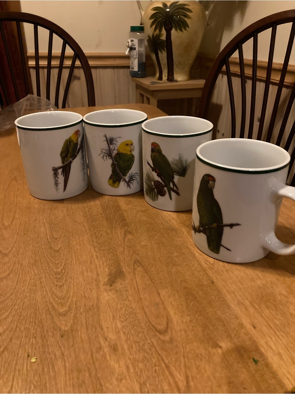 The National Wildlife Federation set of 4 parrot mugs